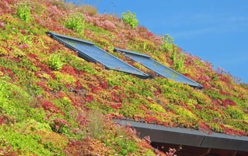 Williamthorpe living roof systems
