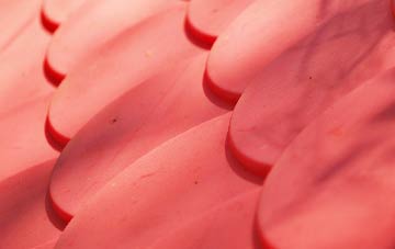 Williamthorpe plastic roof costs